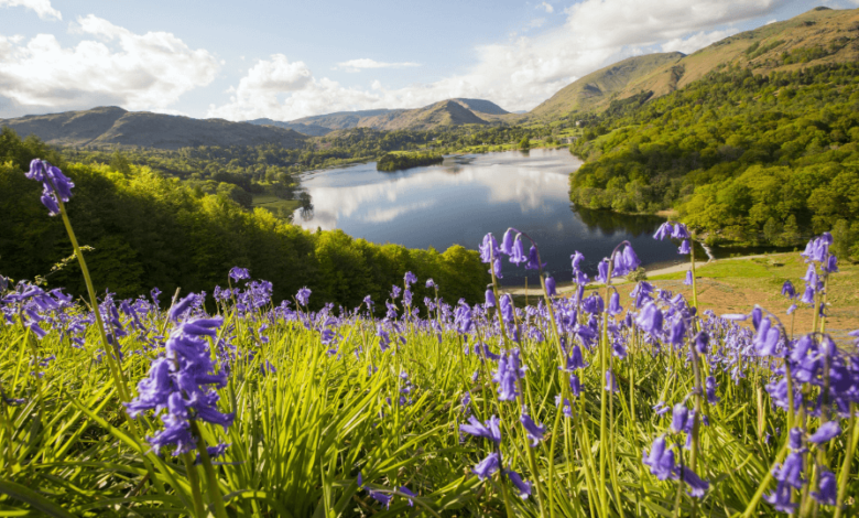 5120x1440p 329 spring image