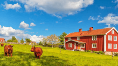 Beautiful:2tvjfgw363w= Farms