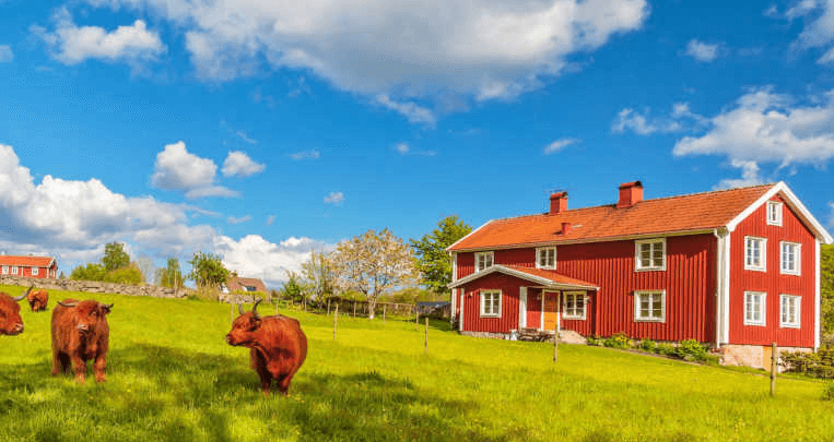 Beautiful:2tvjfgw363w= Farms