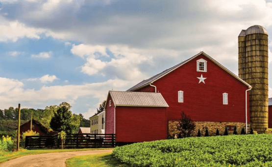  Beautiful:2tvjfgw363w= Farms
