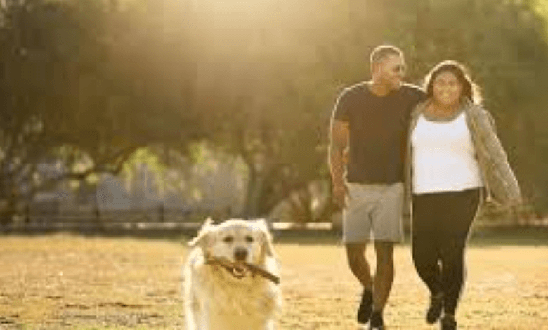 4049650561: Investigating the Importance of 4049650561