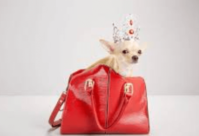 Demystifying Synonym