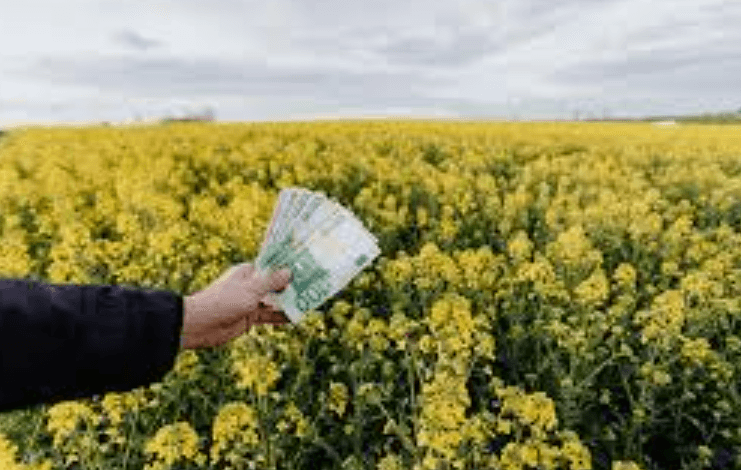 Financial Tricks Roarleveraging