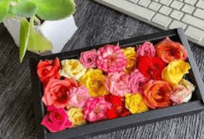 5013555406: Understanding the Mystery of 5013555406