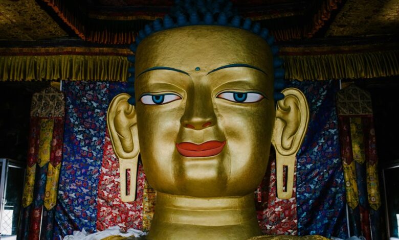 large indian nipple design
