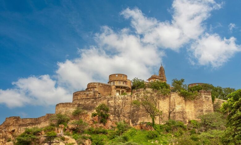 moti oswa small size