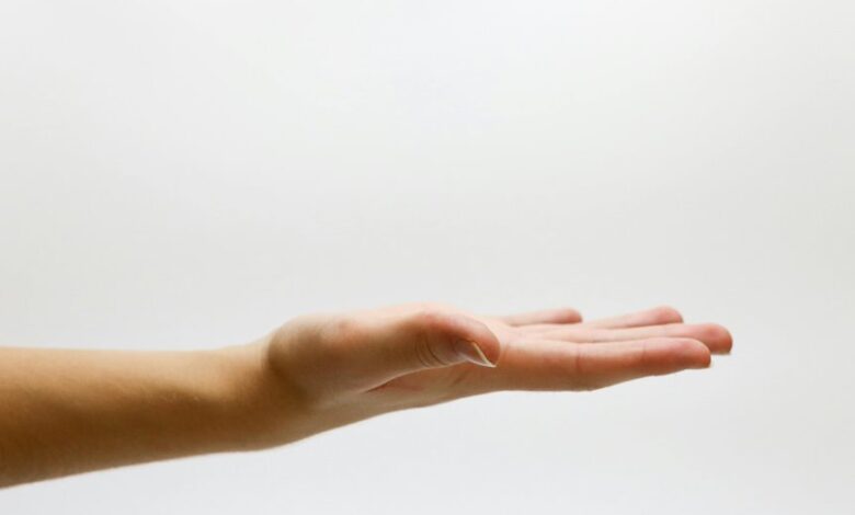 support id 910883739