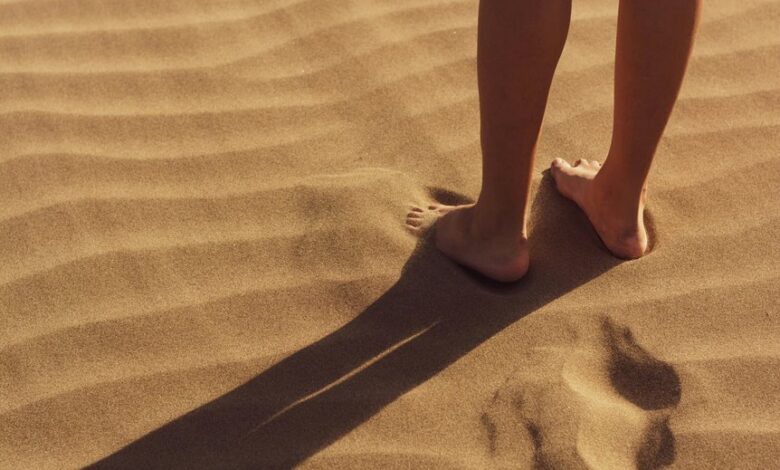 analyzing phone number details