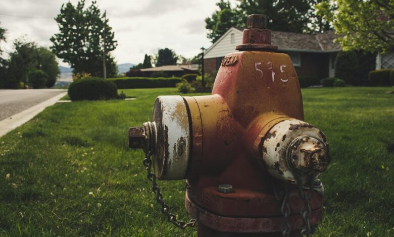 number 6025298923 s popularity