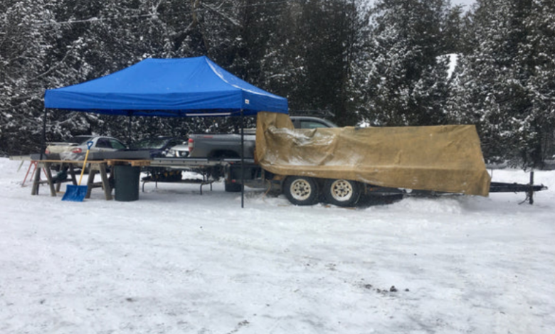 Best Custom Canopy Tents Compared for 2025 Trade Shows