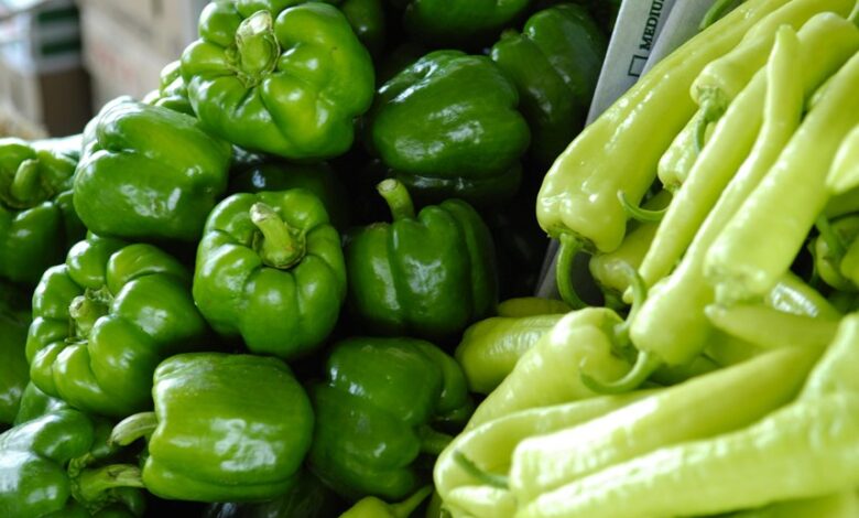 stock market basics guide