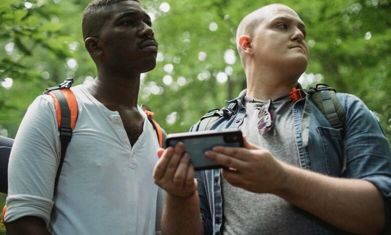 phone number lookup request