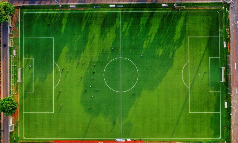 dtcoralbsel project summary