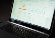 freusseporn s online visibility analysis