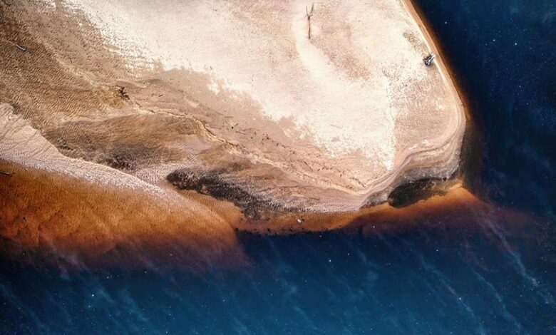 harmonicode com features and overview