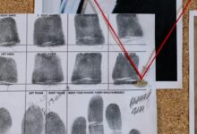 identity analysis of erikalynne711