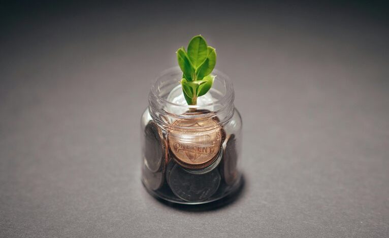 investment potential assessment report