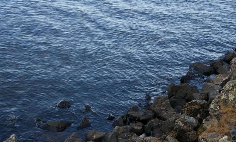 native lawsuit updates overview