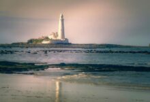 photo editing software guide
