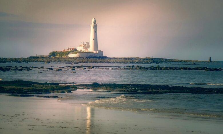 photo editing software guide