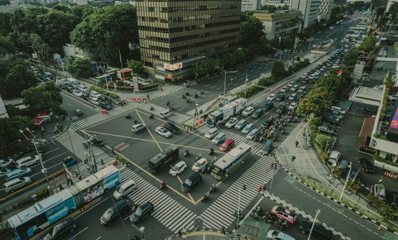 sauvavibraattorit definition and usage