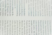 understanding gerdschwennenspr che language