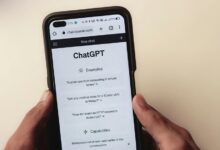 user verification real or bot
