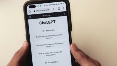 user verification real or bot