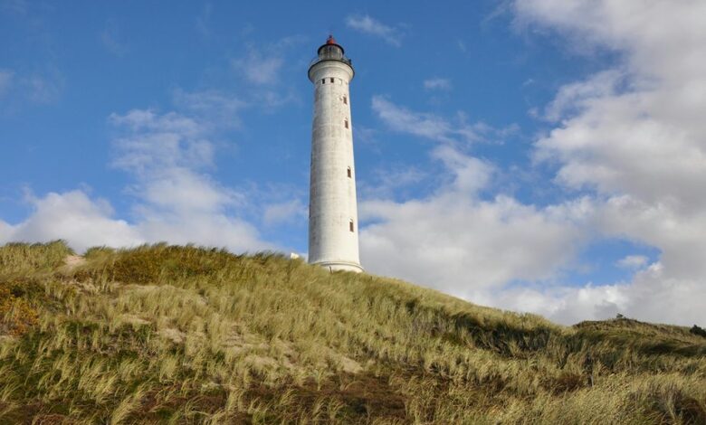 zealpozold usage and safety