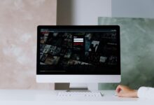 peli plus streaming guide