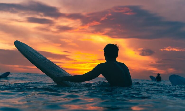 principal s username activity insights