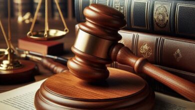 UAE Legal Law that Empowers the Art Sector