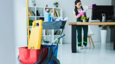 Professional Cleaning