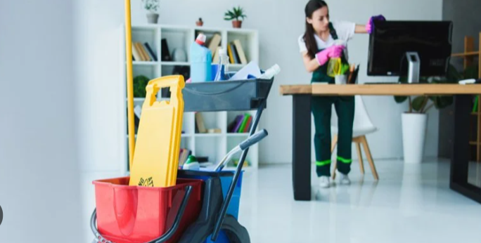 Professional Cleaning