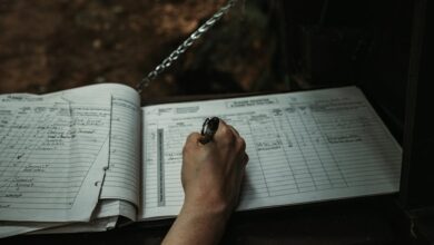 review data records for verification