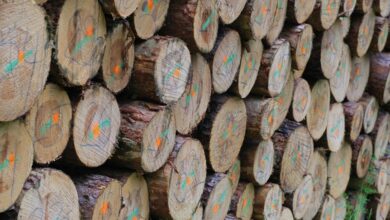 user idscross check log summary