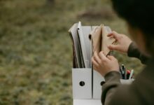 advanced connectivity observation file names