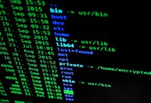 corporate data check sequence identifiers