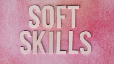 dimrekemesgen skills description requested