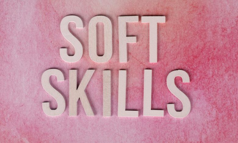 dimrekemesgen skills description requested