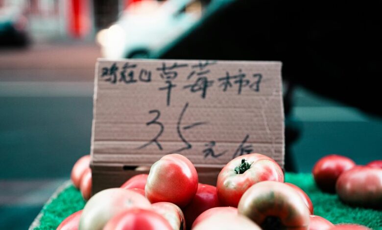 encoded multilingual data review highlights inconsistencies