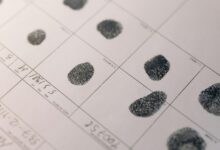 network activity analysis record ids