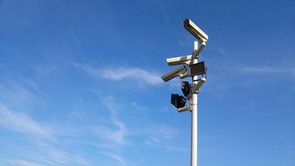 network safety observation ids list