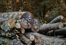 next generation system integrity logs
