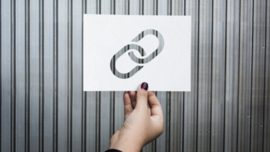 10 Best Link Building Services for DTC Brands