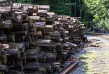 track infrastructure logs myradyschart anomalies