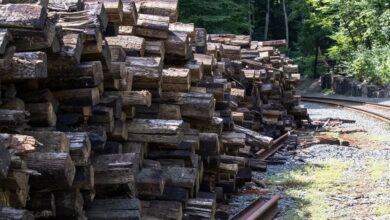 track infrastructure logs myradyschart anomalies