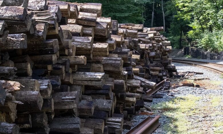 track infrastructure logs myradyschart anomalies