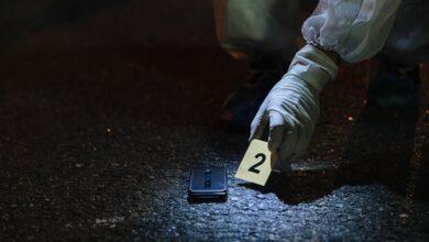 list of investigation numbers and ids