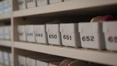 phone number contact verification archive